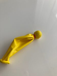 IMG_6081